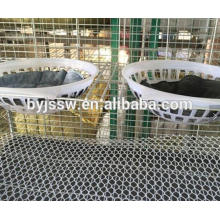 Design Mesh Wire Breeding Cage for Pigeons